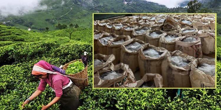 नेपाली चियाको निर्यात रोकिएकोप्रति आपत्ति