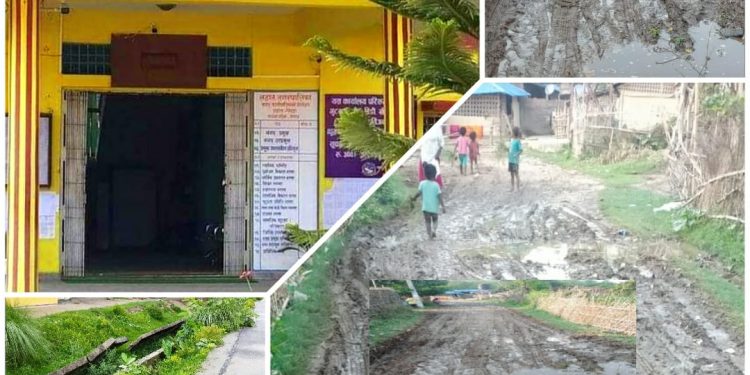 फाट्टफुट्ट वर्षामै लहानका कतिपय सडक अवरुद्ध, जनप्रतिनिधिको मिशन भिजन व्यर्थ