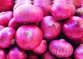 भारतले प्याज निर्यातमा प्रतिबन्ध हटायो