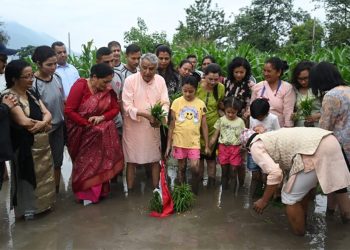 शीतल निवासमा धान रोपाइँ