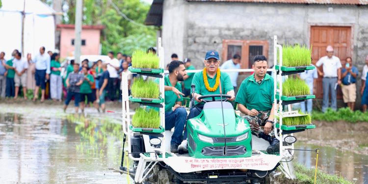 धानमा मात्र होइन खाद्यान्नमा आत्मनिर्भर बनाउन सरकार लागिपरेको छ- प्रधानमन्त्री