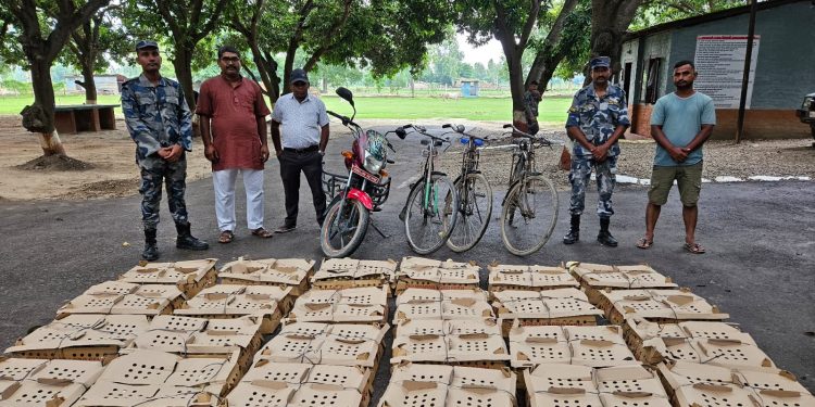 रौतहटमा १ हजार ७०० वटा भारतीय चल्ला सशस्त्र प्रहरीद्वारा बरामद