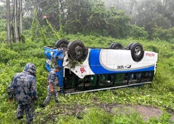 मधेस प्रदेश : बस दुर्घटना हुँदा १४ जना घाइते