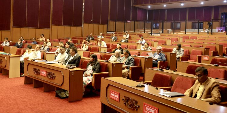 हुलाकी सडक निर्माणलाई गति दिन सांसदहरूको माग