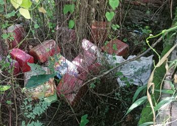 सिरहा बन्यो लागुऔषधको हव, तीन दिनमा पाँच क्विन्टलबढी जाँगा बरामद
