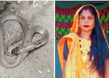 सिरहा : धामीझाँक्रीको भर पर्दा सर्पको टाेकाइबाट एक युवतीको मृत्यु
