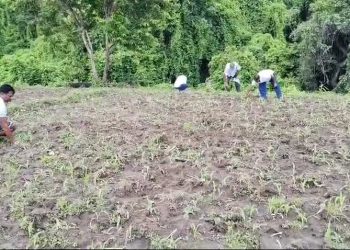 मुख्यमन्त्री सिँहको निर्देशनमा खोरिया फँडानी हटाइयो