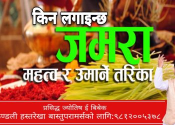 किन लगाईन्छ जमरा? यस्तो छ महत्त्व