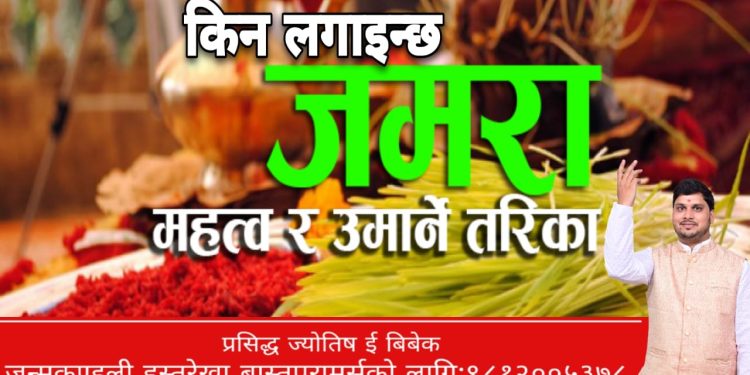 किन लगाईन्छ जमरा? यस्तो छ महत्त्व