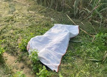 महोत्तरीमा खेतमा लगाएको विद्युतीय बारमा करेन्ट लागेर एक बालिकाको मृत्यु, दुई घाइते