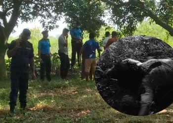 महोत्तरी : अवैध सम्बन्धको कारण महिलाको हत्या ,पहिचान खुलाउन प्रहरी प्रयासरत