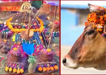 मिथिला क्षेत्रमा ‘गोधन’ पर्व मनाईयो