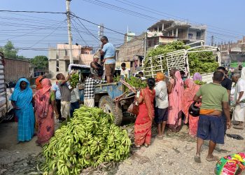 जनकपुरधाममा छठका लागि पाँच करोडको केरा आयात