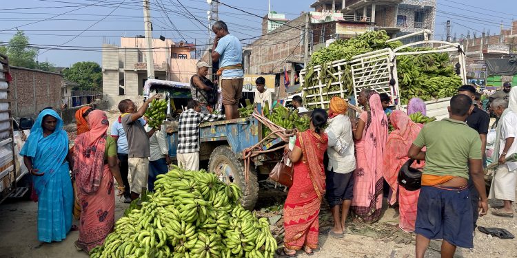 जनकपुरधाममा छठका लागि पाँच करोडको केरा आयात