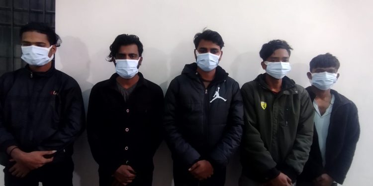 क्यानडा पठाइदिने भन्दै विराटनगरका बाबु-छोराबाट ६६ लाख ठगी, पाँच जना पक्राउ