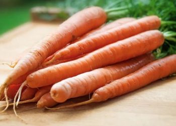 यी हुन गाजर खानुको १० फाइदा, दिन्छ अनेक फाइदा