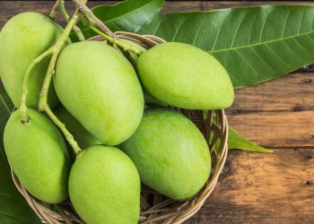 गर्मीमा काँचो आँप खानुका यी हुन ४ फाइदा