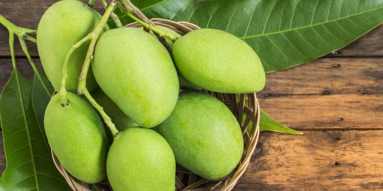 गर्मीमा काँचो आँप खानुका यी हुन ४ फाइदा