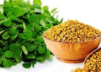 नासाले अन्तरिक्षमा मुगु र मेथी उत्पादन गर्दै, होला त सफल ?