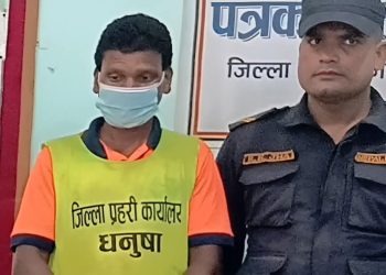शहीद दुर्गानन्द झाको सालिकमाथि चप्पल प्रहार गर्ने व्यक्ति पक्राउ