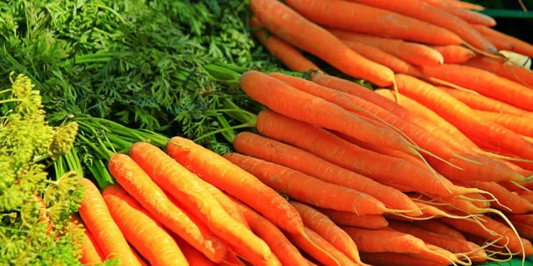 नियमित गाँजर खानेले लिने सक्नेछन् यी १० स्वास्थ्यका फाइदा