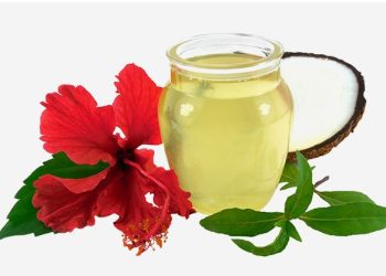 मेथी, अमला र फूलबाट बनाउनुहोस् यो विशेष तेल, कपाल झर्न गर्छ कम