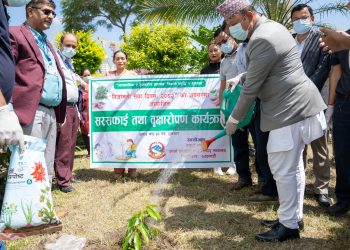 निजामति सेवा दिवसको अवसरमा उर्जा मन्त्रालयमा बृक्षारोपण