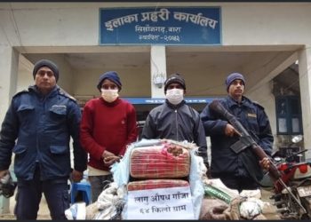६४ केजीभन्दा बढी गाँजासहित दुई भरिया रंगेहात पक्राउ