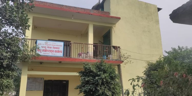 पशु क्वारेन्टाइन कार्यालय बिराटनगरको त्रैमासिक प्रतिवेदन सार्वजनिक  ८३.३७ प्रतिशत काम सम्पन्न