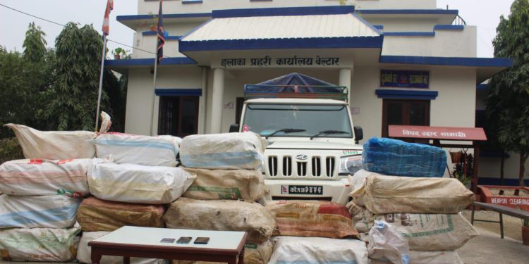 बोलेरो गाडीमा ७६३ केजी गाँजा बरामद, दुई जना पक्राउ