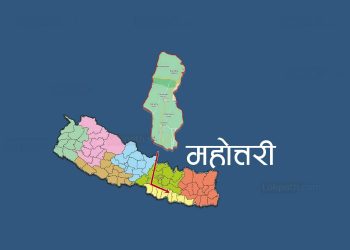 महोत्तरीमा दलभन्दा स्वतन्त्र उम्मेदवारको सङ्ख्या अधिक