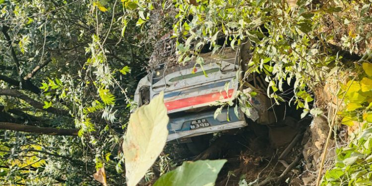 सेना बोकेको बस दुर्घटना हुँदा २४ घाइते