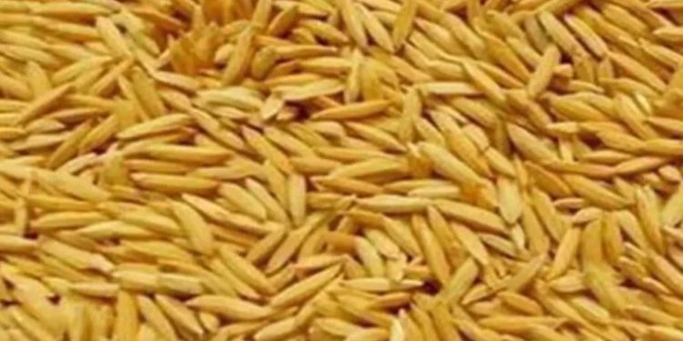 चार करोड मूल्य बराबरको धान खरिद