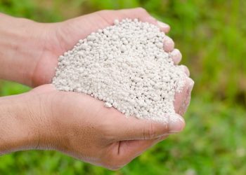 मध्यपूर्व द्वन्द्वले भारतको मल उत्पादनमा गिरावट