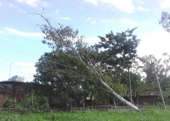 हावाहुरीबाट मधेस प्रदेश प्रभावित, सिरहामा पर्खाल भत्किँदा महिलाको मृत्यु