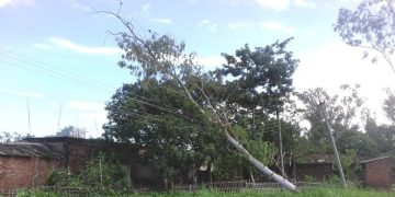 हावाहुरीबाट मधेस प्रदेश प्रभावित, सिरहामा पर्खाल भत्किँदा महिलाको मृत्यु