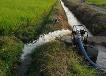 नारायणी सिँचाइ : जामुनीमा ब्यारेजमा ‘अटोमेसन गेट’ निर्माण अगाडि बढ्यो