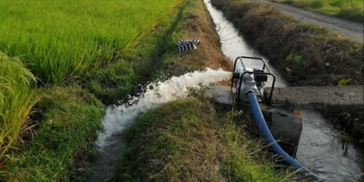 नारायणी सिँचाइ : जामुनीमा ब्यारेजमा ‘अटोमेसन गेट’ निर्माण अगाडि बढ्यो