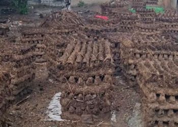 रौतहटको ग्रामीण क्षेत्रमा वैकल्पिक ऊर्जाको प्रयोग गरिँदै