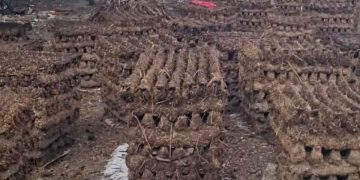 रौतहटको ग्रामीण क्षेत्रमा वैकल्पिक ऊर्जाको प्रयोग गरिँदै