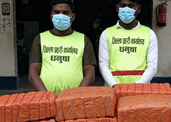 धनुषामा १३७ केजी गाँजासहित दुई जना पक्राउ