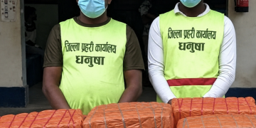 धनुषामा १३७ केजी गाँजासहित दुई जना पक्राउ