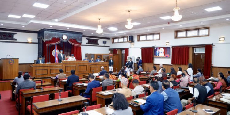 जनसरोकारका विषयमा सरकारको ध्यानाकर्षण