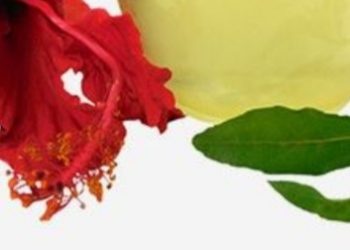 मेथी, अमला र फूलबाट बनाउनुस विशेष तेल, जसले राेक्छ कपाल झर्न