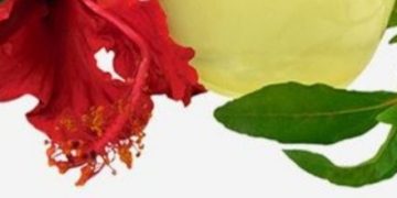 मेथी, अमला र फूलबाट बनाउनुस विशेष तेल, जसले राेक्छ कपाल झर्न