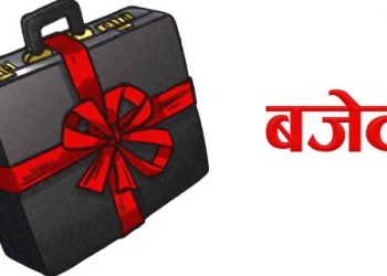 रौतहटका १८ स्थानीय तहमध्ये १५ वटा पालिकाले ल्याए बजेट
