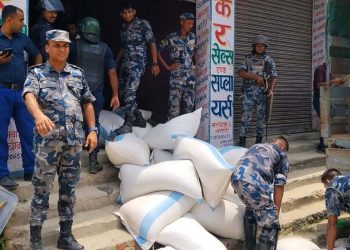 सर्लाहीबाट फर्सीको वीउ बरामद