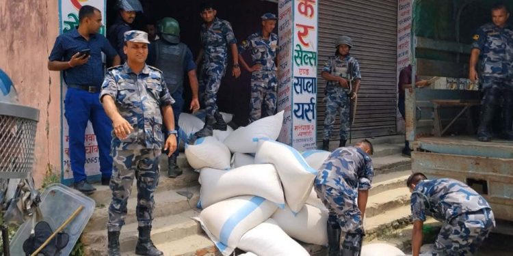 सर्लाहीबाट फर्सीको वीउ बरामद