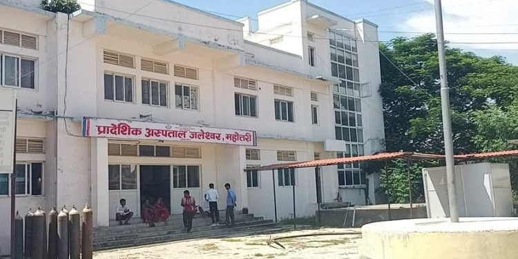गर्मीबढेसँगै सर्पदंशका बिरामीकाे संख्यामा वृद्धि