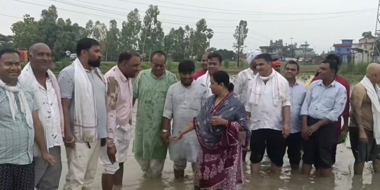 असार १५ मा रौतहटमा धान रोप्दै राष्ट्रिय धान दिवस मनाइयो